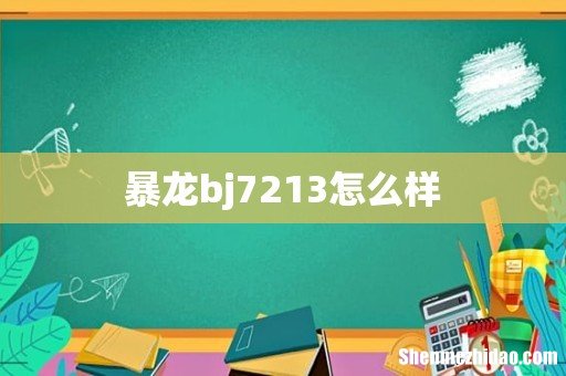 暴龙bj7213怎么样