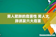 男人肥胖的危害性 男人太胖诱发六大危害
