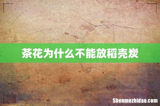 茶花为什么不能放稻壳炭