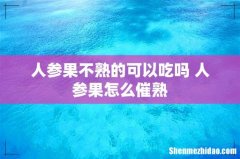 人参果不熟的可以吃吗 人参果怎么催熟