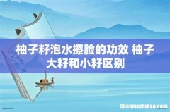柚子籽泡水擦脸的功效 柚子大籽和小籽区别