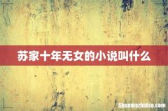 苏家十年无女的小说叫什么
