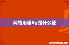网络用语fly是什么梗