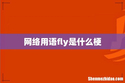 网络用语fly是什么梗