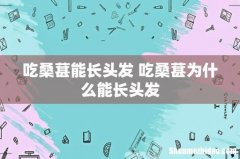 吃桑葚能长头发 吃桑葚为什么能长头发