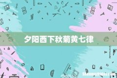 夕阳西下秋菊黄七律