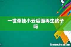 一世牵挂小云后面再生孩子吗