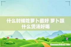 什么时候吃萝卜最好 萝卜跟什么煲汤好喝