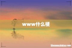 www什么梗