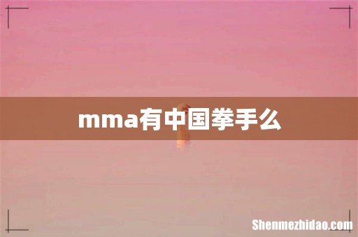 mma有中国拳手么