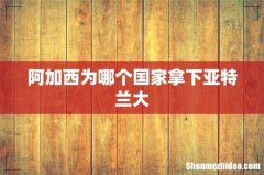 阿加西为哪个国家拿下亚特兰大