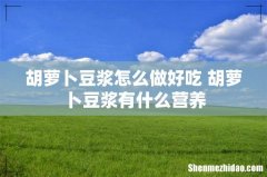 胡萝卜豆浆怎么做好吃 胡萝卜豆浆有什么营养