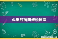 心里的痛向谁说原唱