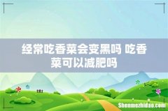 经常吃香菜会变黑吗 吃香菜可以减肥吗