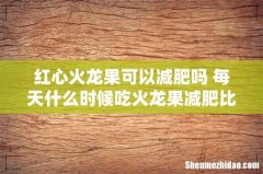 红心火龙果可以减肥吗 每天什么时候吃火龙果减肥比较有效