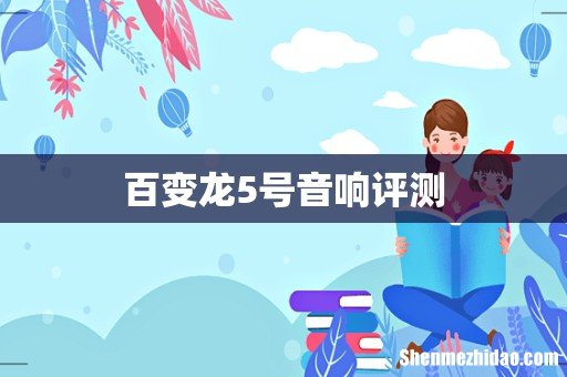 百变龙5号音响评测
