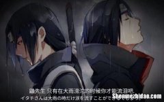 鼬真传15集为什么没跟新
