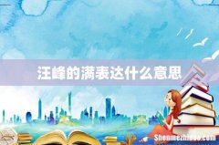 汪峰的满表达什么意思