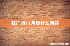 在广州11月煲什么汤好