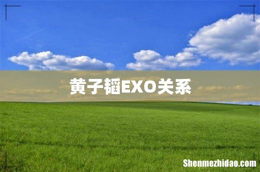 黄子韬EXO关系