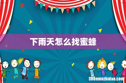 下雨天怎么找蜜蜂
