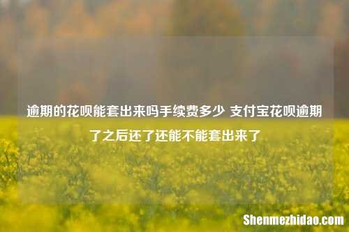 逾期的花呗能套出来吗手续费多少 支付宝花呗逾期了之后还了还能不能套出来了