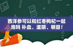 西洋参可以和红枣枸杞一起泡吗 补血、滋阴、明目！