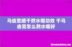 马齿苋晒干熬水喝功效 干马齿苋怎么熬水喝好