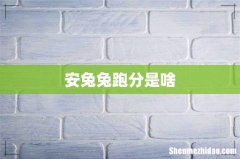 安兔兔跑分是啥