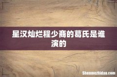 星汉灿烂程少商的葛氏是谁演的