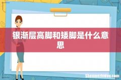 银渐层高脚和矮脚是什么意思