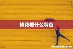 棉花糖什么特色