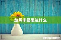 赵照半夏表达什么