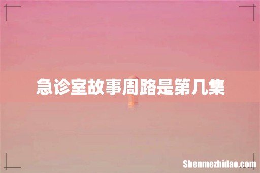 急诊室故事周路是第几集