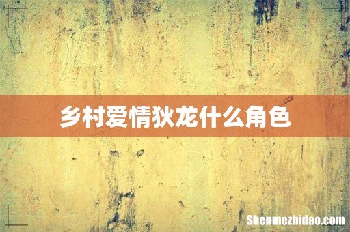 乡村爱情狄龙什么角色