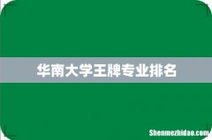 华南大学王牌专业排名