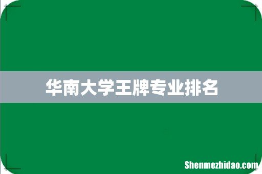 华南大学王牌专业排名