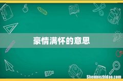 豪情满怀的意思