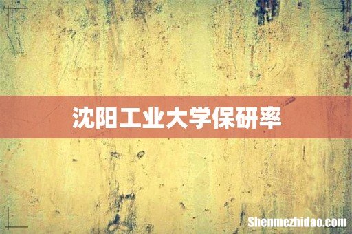 沈阳工业大学保研率