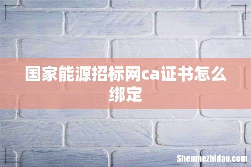 国家能源招标网ca证书怎么绑定
