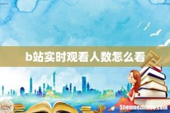 b站实时观看人数怎么看