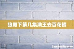 狼殿下第几集渤王去百花楼