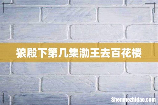 狼殿下第几集渤王去百花楼