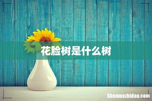 花脸树是什么树