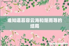 谁知道慕容云海和楚雨荨的结局