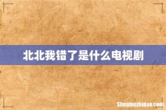 北北我错了是什么电视剧