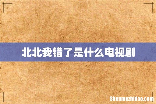 北北我错了是什么电视剧