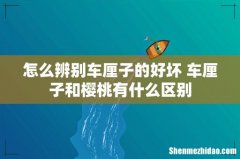 怎么辨别车厘子的好坏 车厘子和樱桃有什么区别