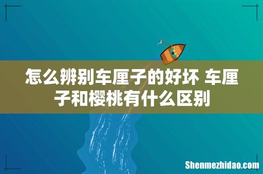 怎么辨别车厘子的好坏 车厘子和樱桃有什么区别