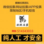 微信里怎么人工投票价格多少钱一票 微信人工投票10元1000票微信号